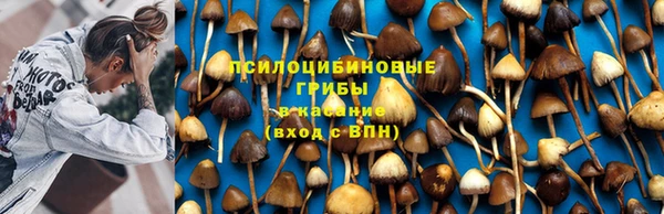 твердый Липки